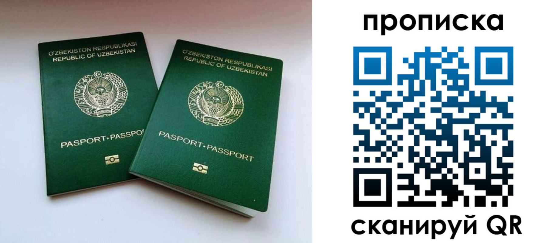 прописка поиск в Арамили